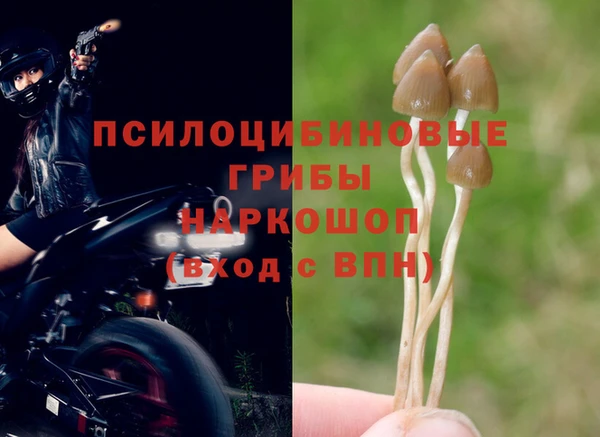 прущие крисы Абдулино